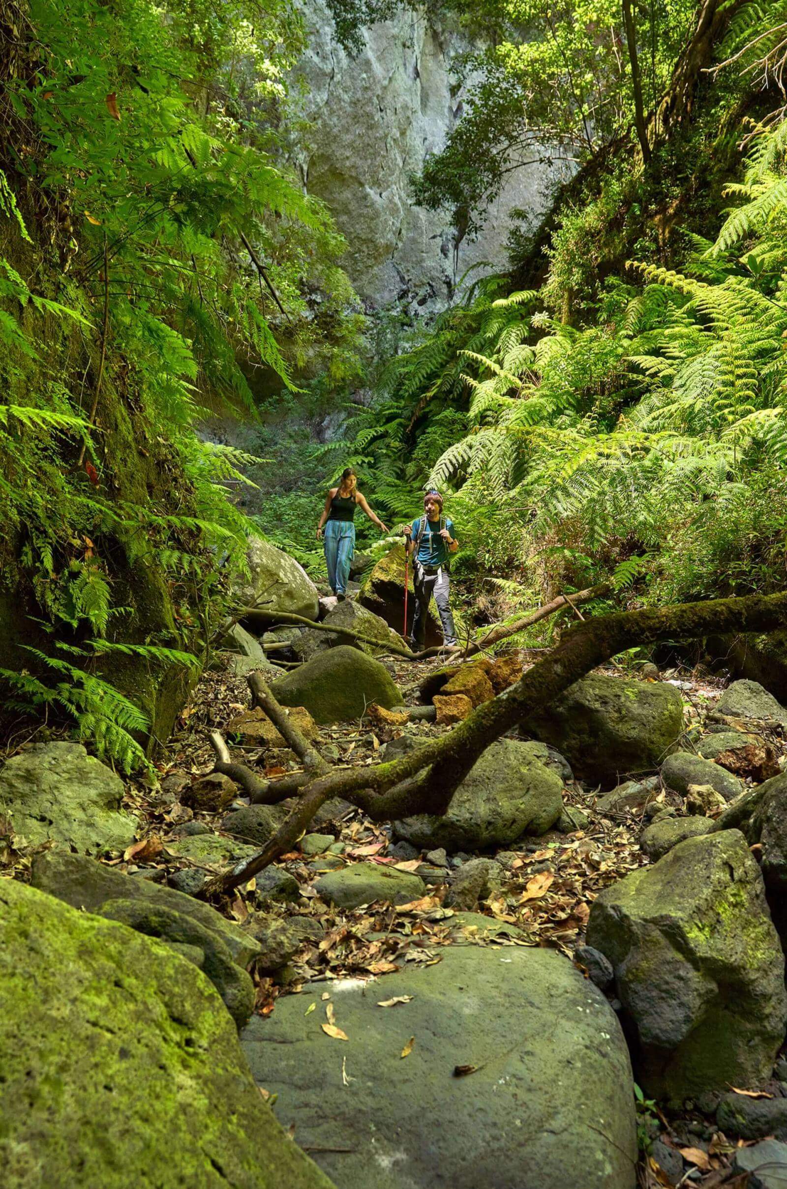 Two people walking among rocks and ferns in Los Tilos forest, surrounded by laurissilva.