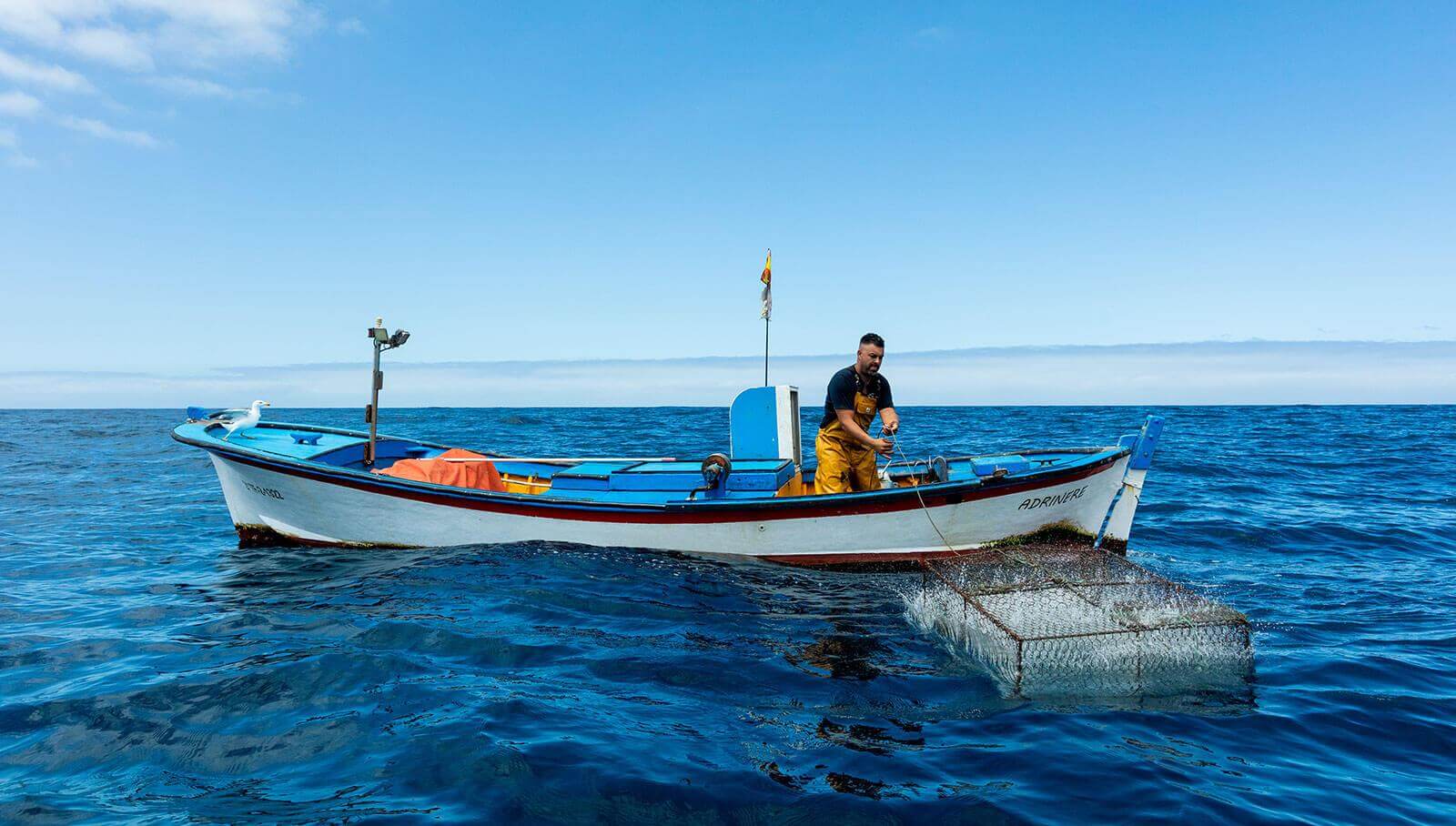 Artisanal fishing. Tenerife