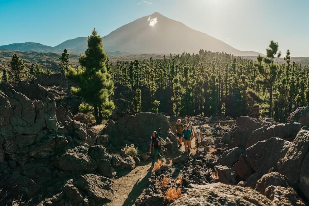 Hiking group among volcanic rocks and Canary Island pine trees with Mount Teide in background, Tenerife.