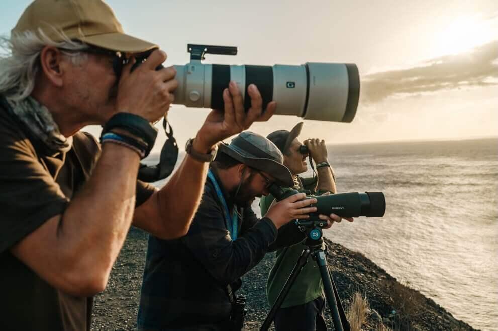 Birdwatching at sunset by the ocean with binoculars and telephoto cameras in Canary Islands.