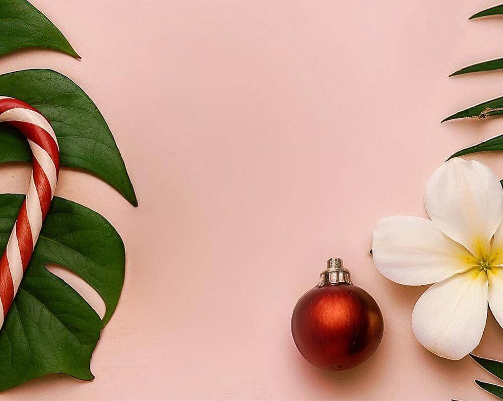 Pink background with green leaf, flower, and Christmas decorations.
