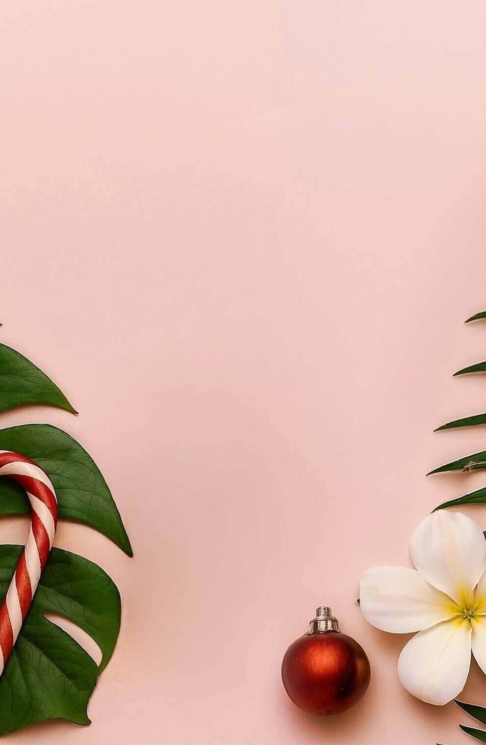 Pink background with green leaf, flower, and Christmas decorations.