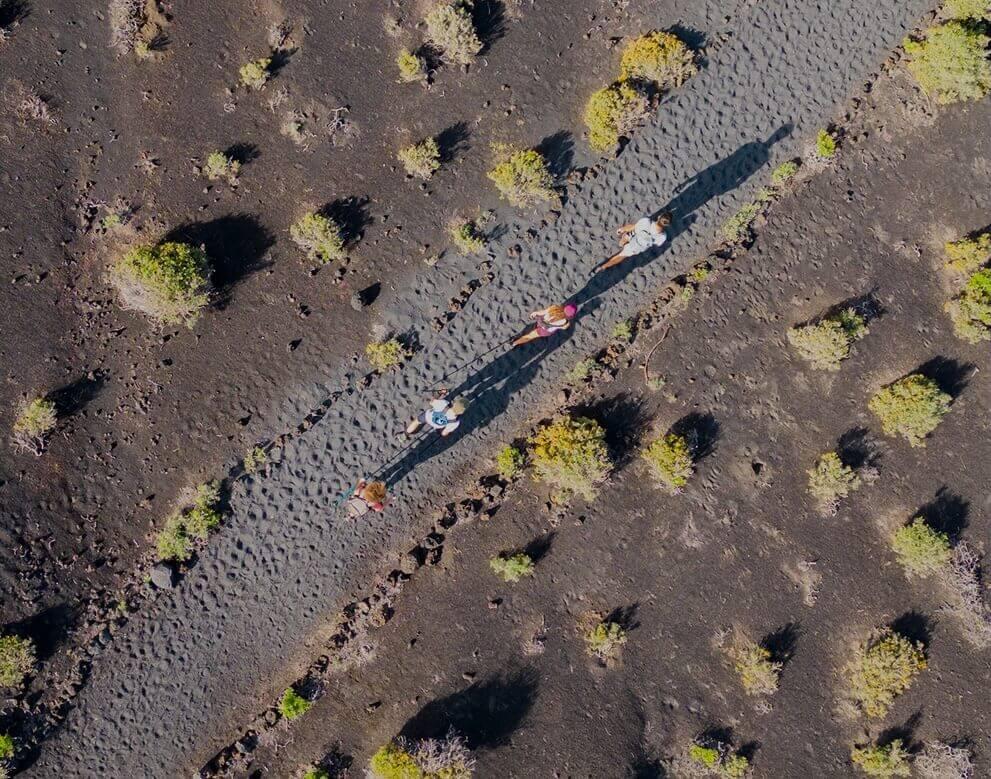 Aerial view of a path crossing a volcanic landscape with dispersed vegetation.