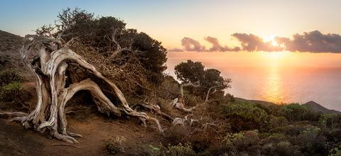 El Hierro