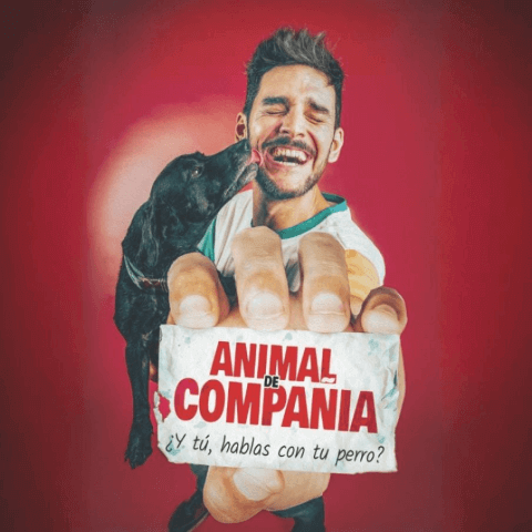 animalcompania