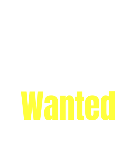 Remote Worker Wanted