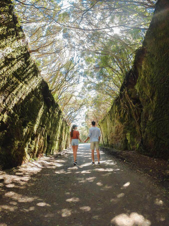 Anaga, Tenerife.