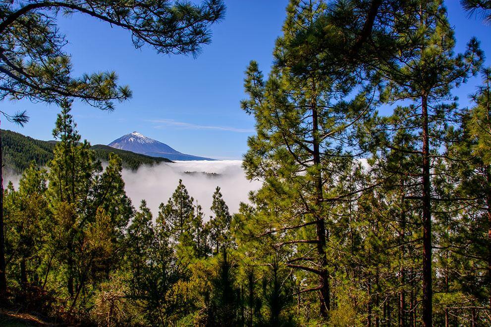 Teide. Tenerife