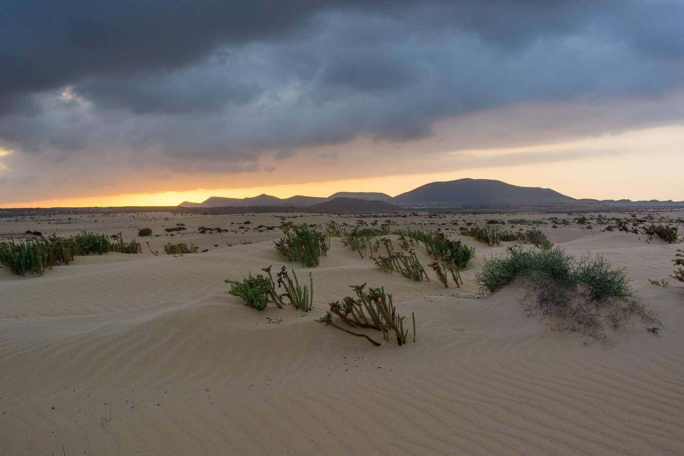 Fuerteventura. Corralejo