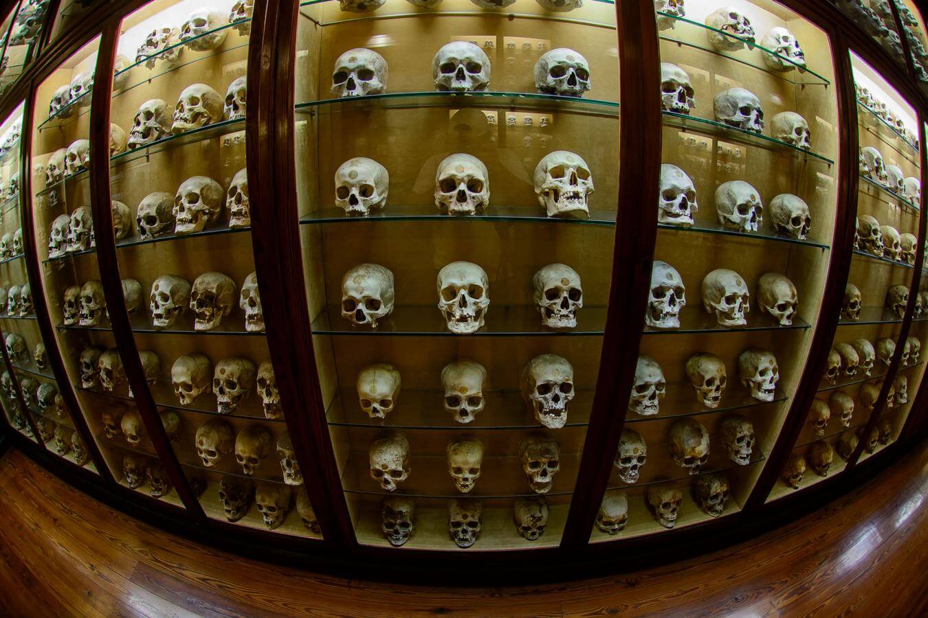 PM 4217 Gran Canaria Museo Canario