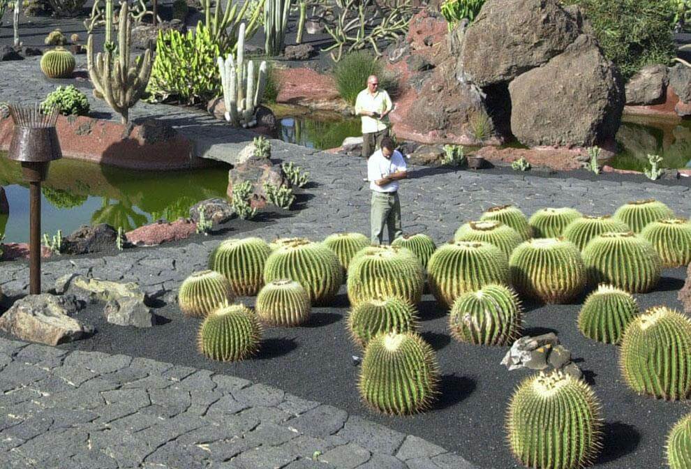 Lanzarote. Jardin de Cactus