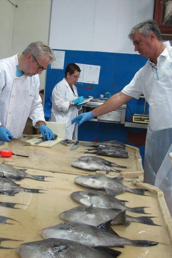 El Hierro. Pesca  Artesanal.. 