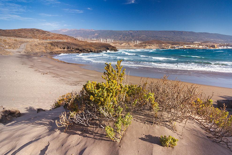  Tenerife. Poris de Abona