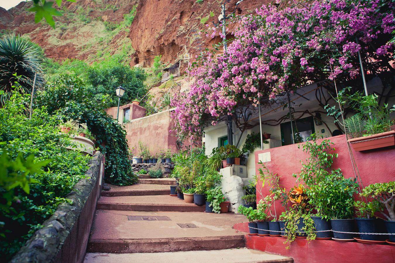 Gran canaria. Guayadeque