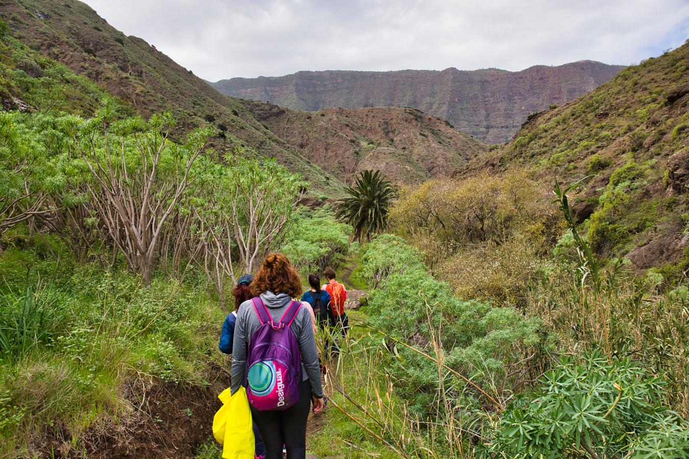 Senderismo, La Gomera