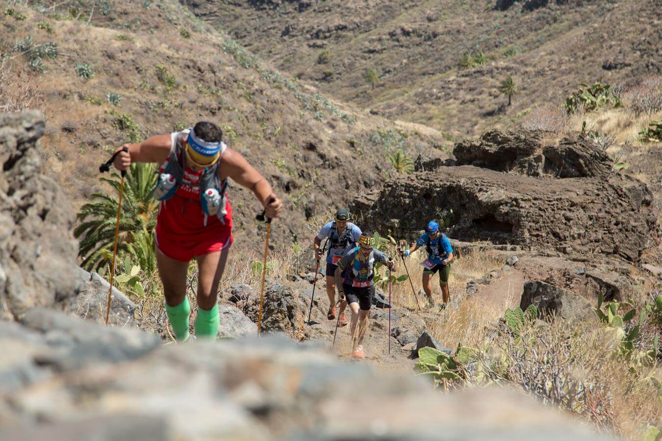 Gomera Paradise