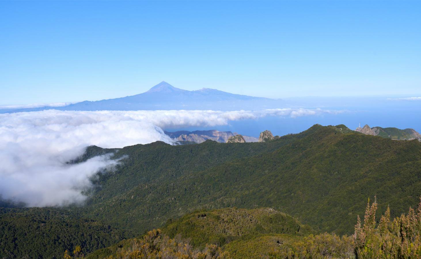 Alto-de-Garajonay-La-Gomera-2