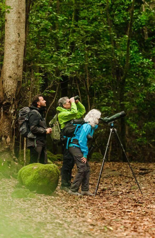 Birdwatchers with spotting scope in Anaga.