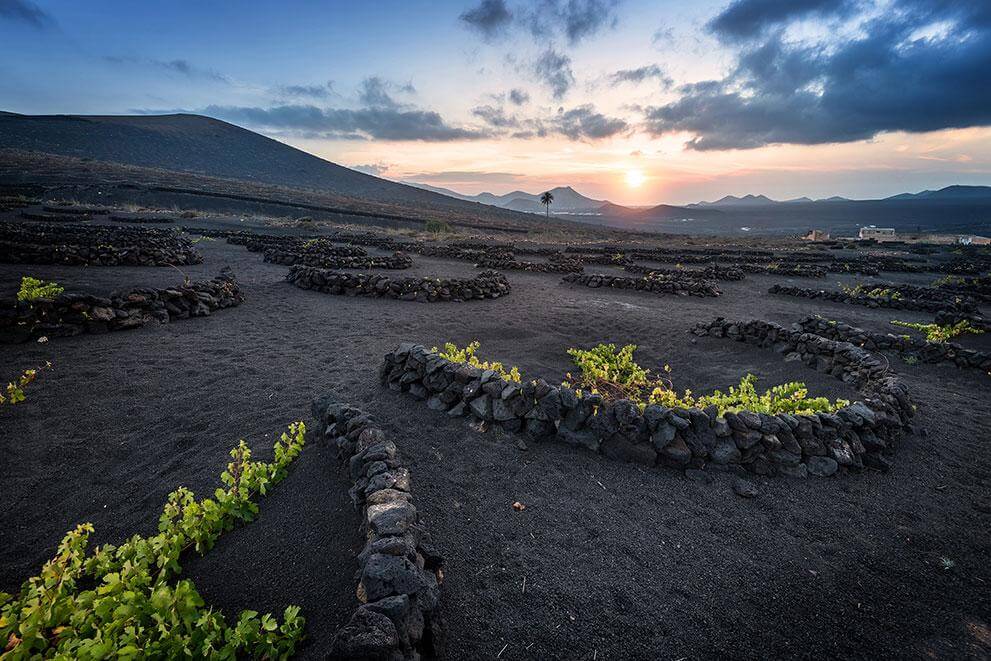 La Geria, Lanzarote.