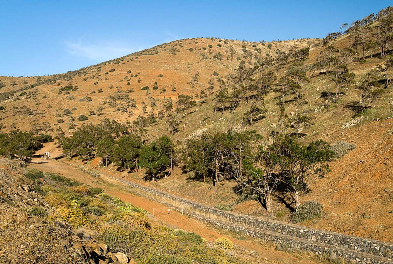 Betancuria - galeria3