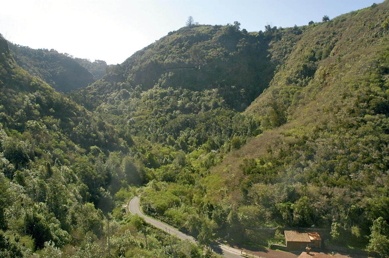 Ruta en coche por el noroeste de Gran Canaria - galeria2