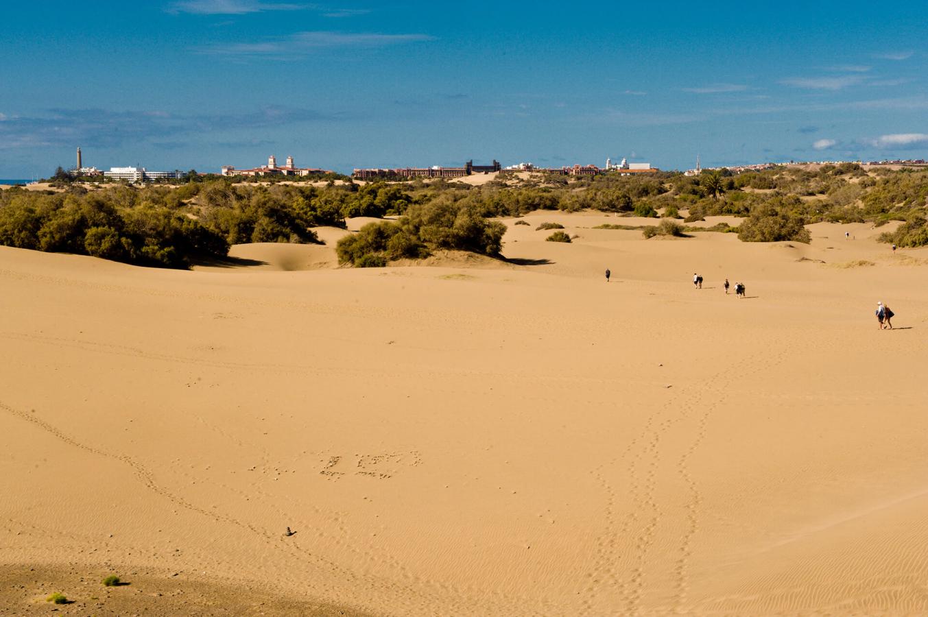 Maspalomas Nature Reserve | Hello Canary Islands