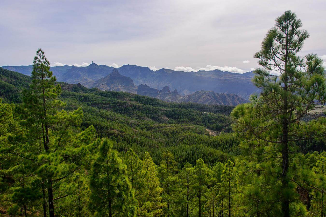Ruta en coche por el noroeste de Gran Canaria - galeria5