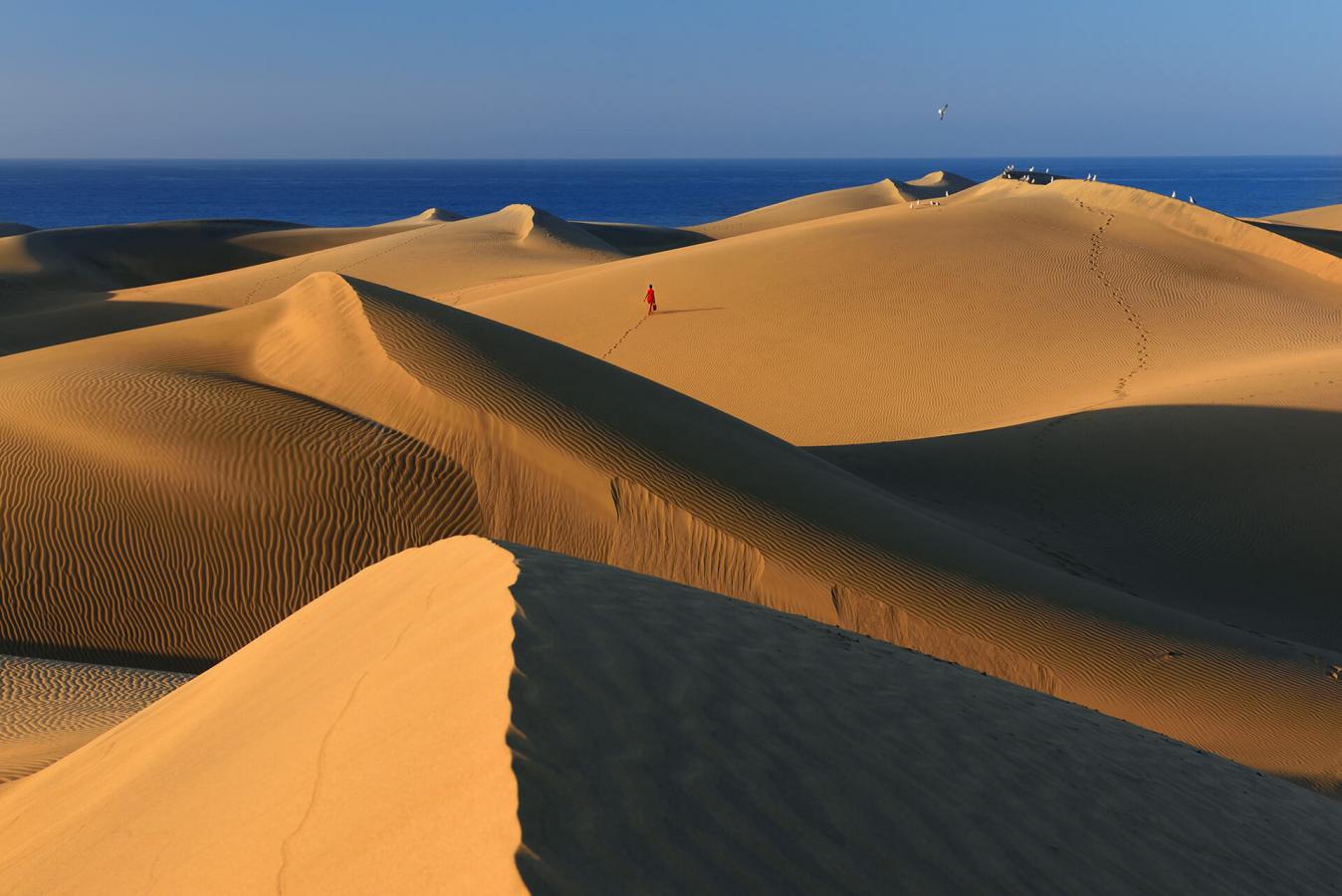 Maspalomas Nature Reserve | Hello Canary Islands