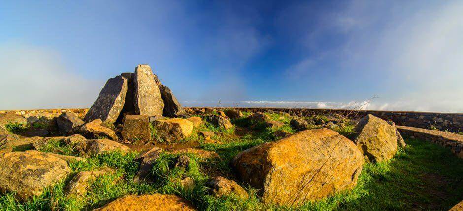 Summit of Garajonay + Stargazing in La Gomera