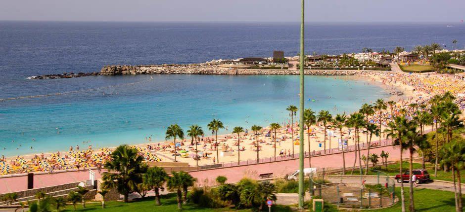 Amadores beach Popular beaches of Gran Canaria