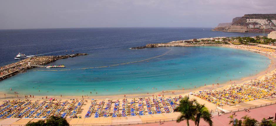 Amadores beach Popular beaches of Gran Canaria