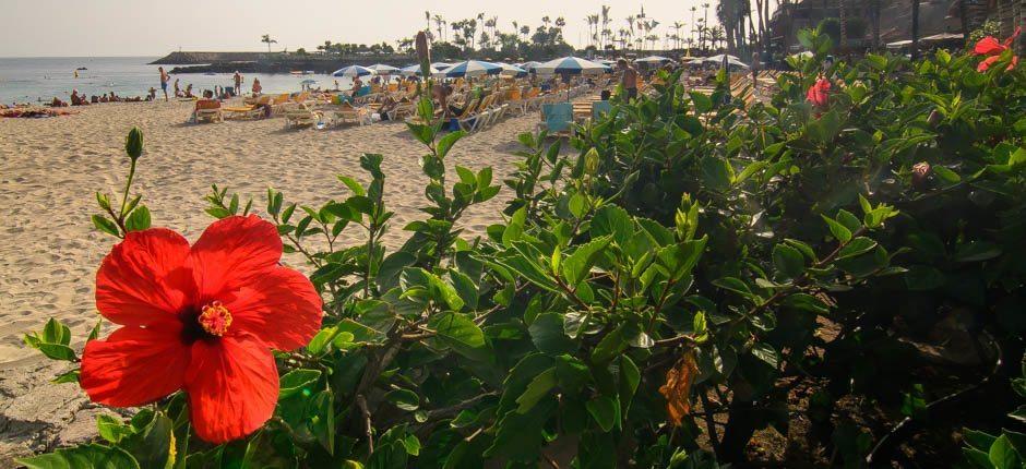 Anfi del Mar Family beaches of Gran Canaria