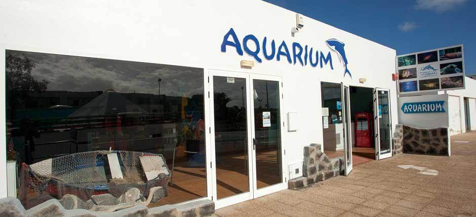 Aquariums in Lanzarote 