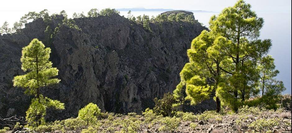 Tamadaba-Bajada de Faneque + Pathways of Gran Canaria