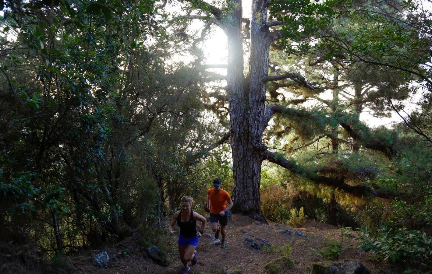 Candelaria - Santa Cruz de La Palma-Trail