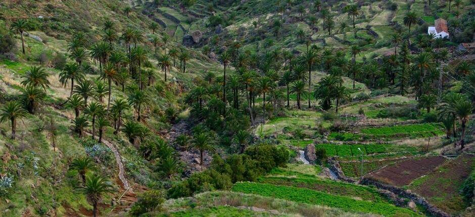 Imada Hamlets of La Gomera