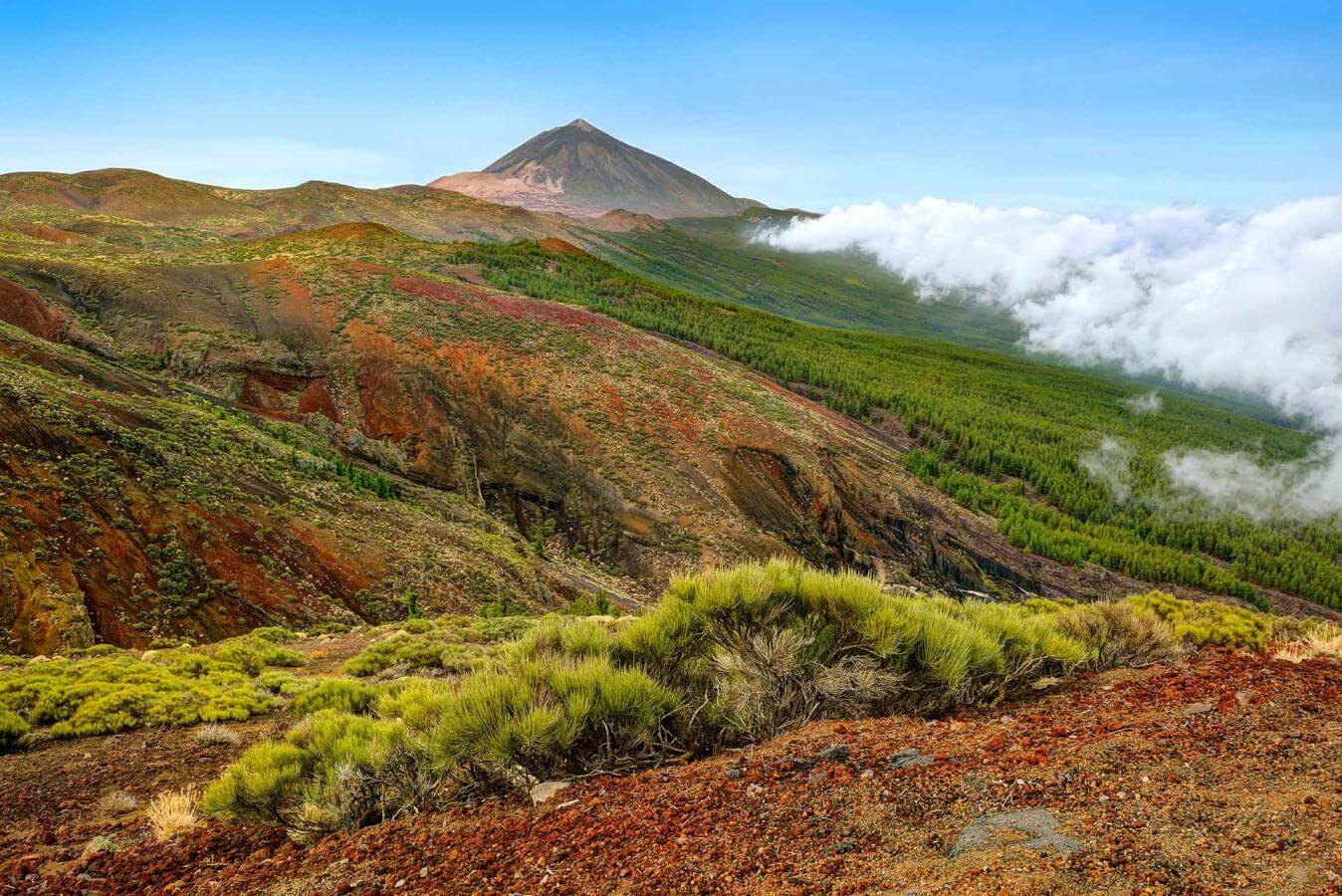 Mirador Cumbres del Norte o Chipeque