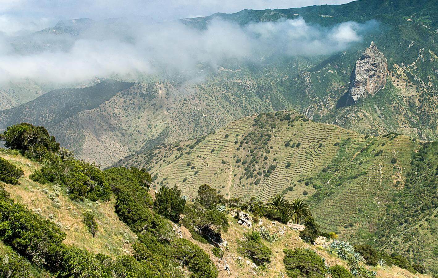 Circular de Vallehermoso. Senderos de La Gomera