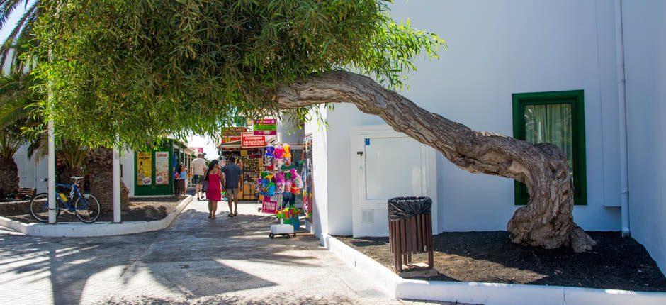 Costa Teguise. Holiday destinations in Lanzarote