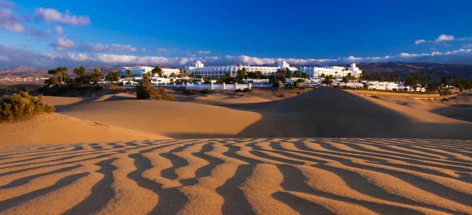 Dunes Nature Reserve Hello Canary Islands