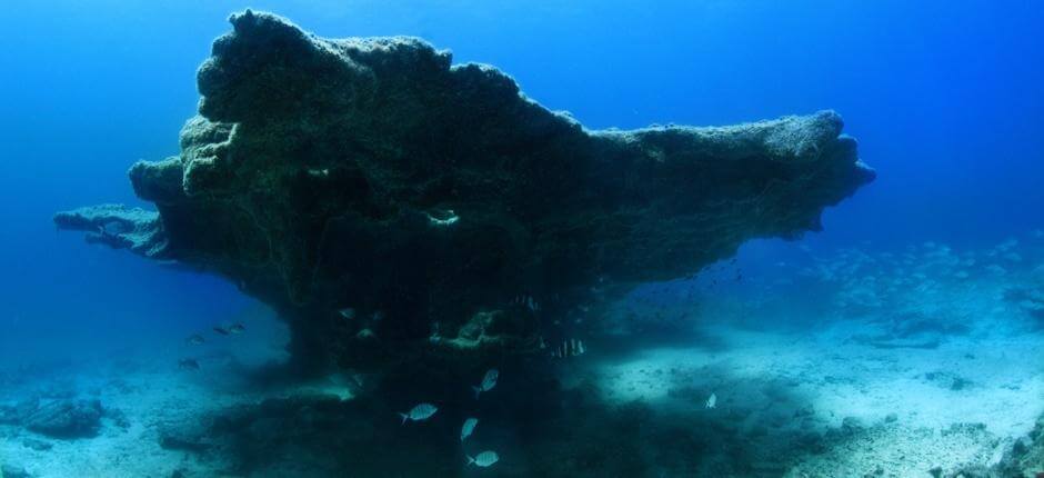 Bucear en Bajón del Río + Scuba diving in Fuerteventura  