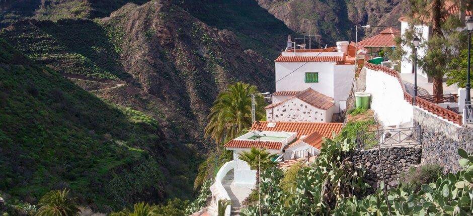 El Carrizal de Tejeda Gran Canaria hamlets