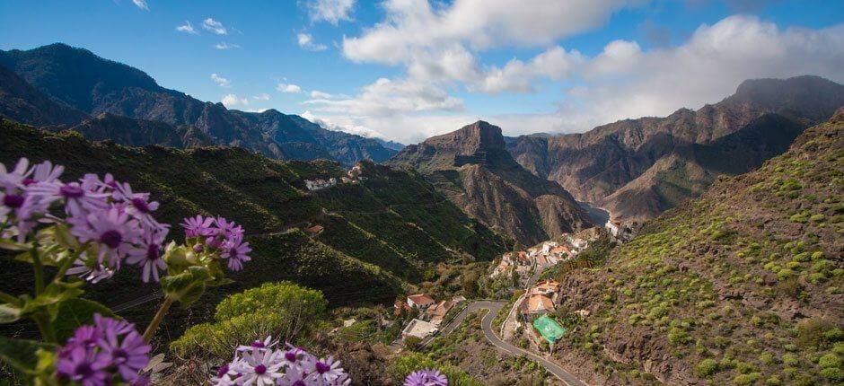 El Carrizal de Tejeda Gran Canaria hamlets