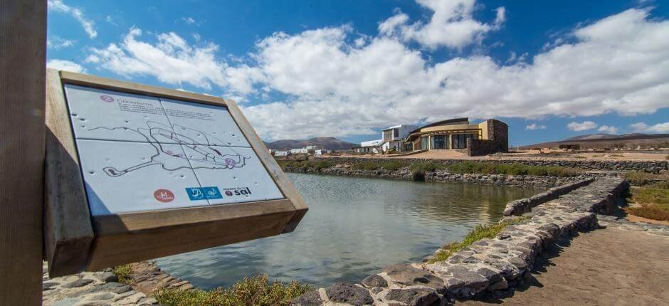 Salt Museum, Museums in Fuerteventura