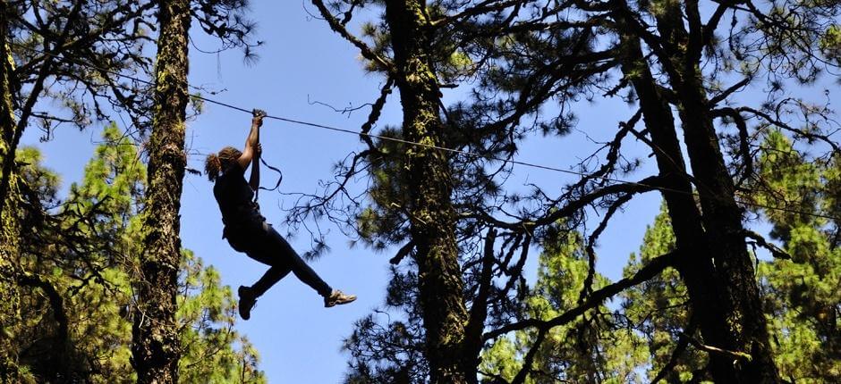 Forest Park, Tenerife’s Theme Parks