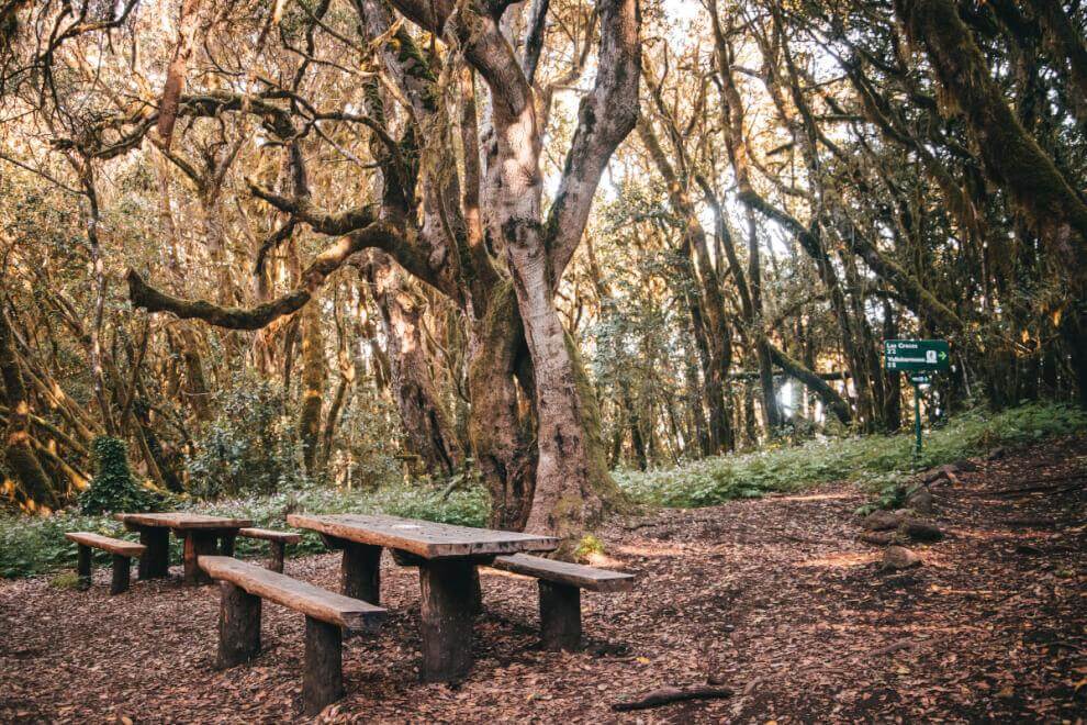 Merendero Raso de La Bruma