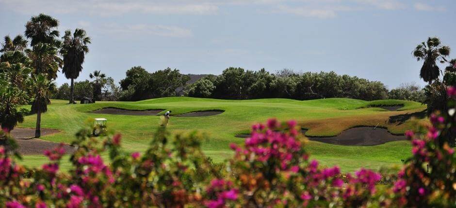 Golf del Sur, Golf Courses of Tenerife