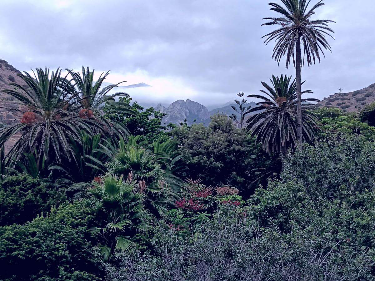 Jardín Botánico del Descubrimiento