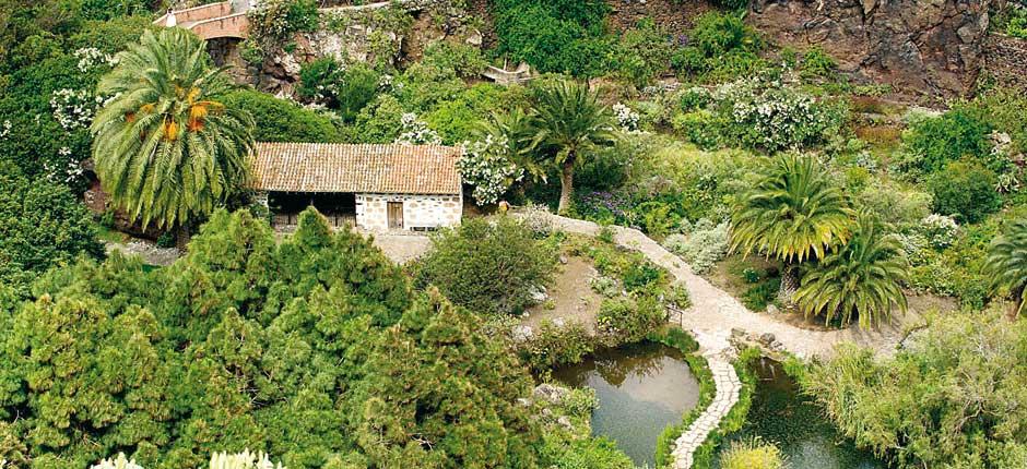 Jardín Botánico Viera y Clavijo Museums and tourist attractions of Gran Canaria