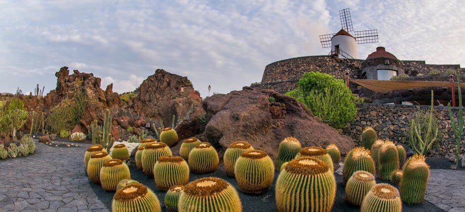 Jardín de Cactus Museos y centros turísticos de Lanzarote